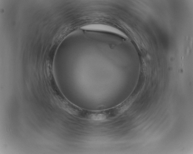 X0000075860169200609151235