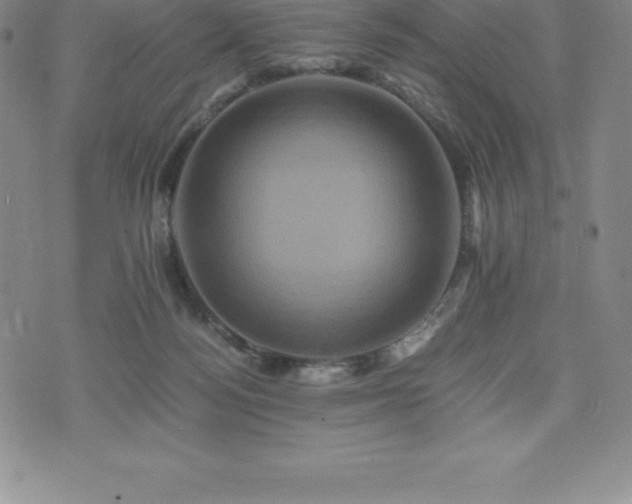 X0000075860172200609151235