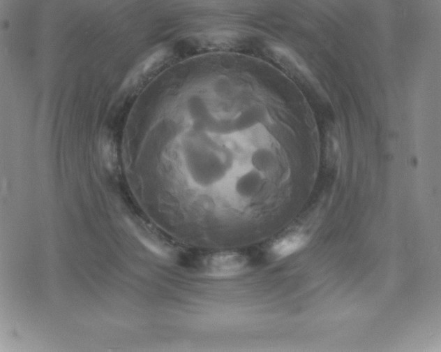 X0000075860173200609151235