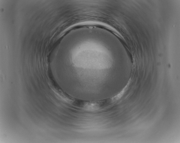 X0000075860174200609151235