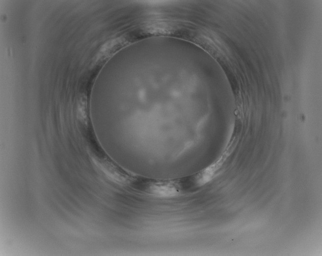 X0000075860175200609151235