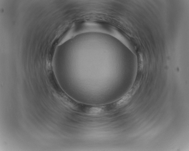 X0000075860176200609151235