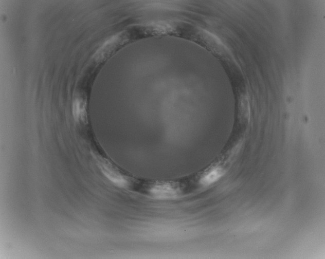 X0000075860177200609151235