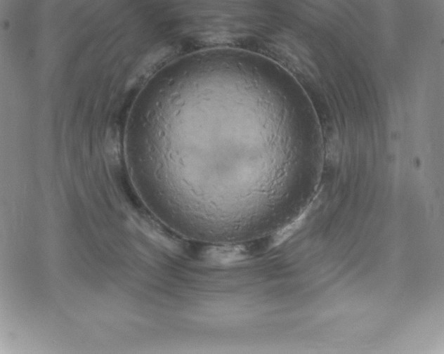 X0000075860179200609151235