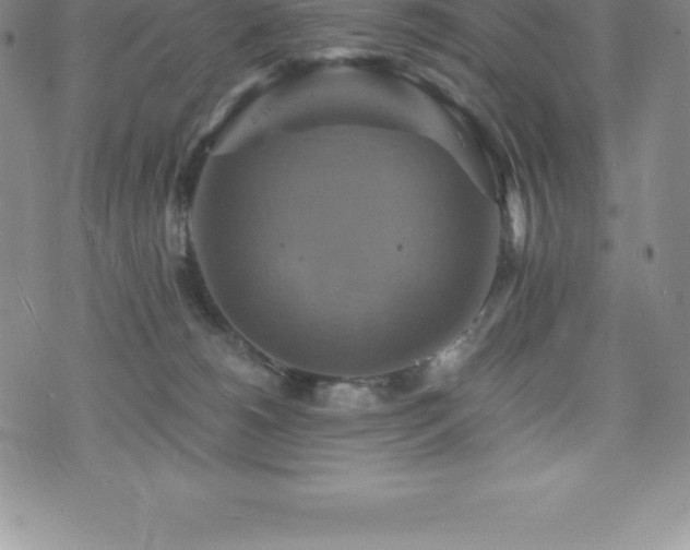 X0000075860180200609151235