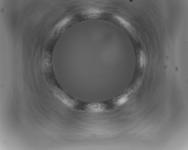 X0000075860181200609151235