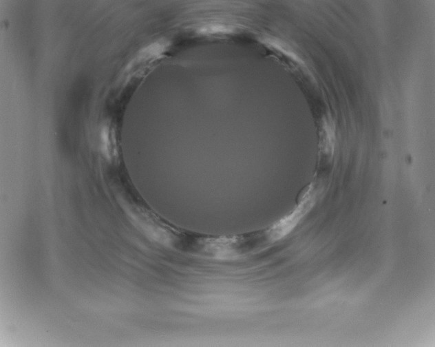 X0000075860182200609151235