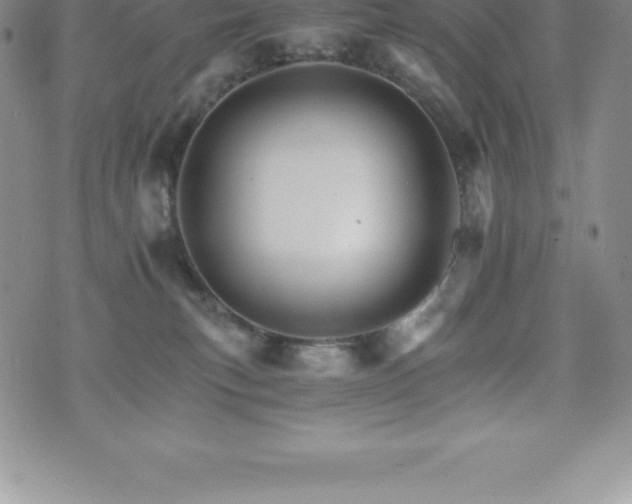 X0000075860183200609151235