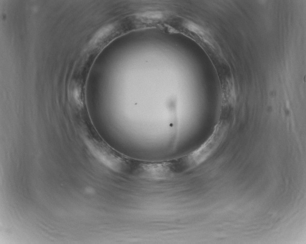 X0000075860187200609151235