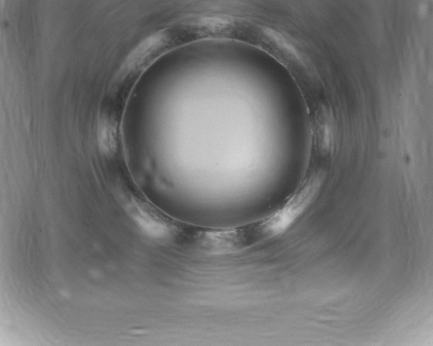 X0000075860188200609151235