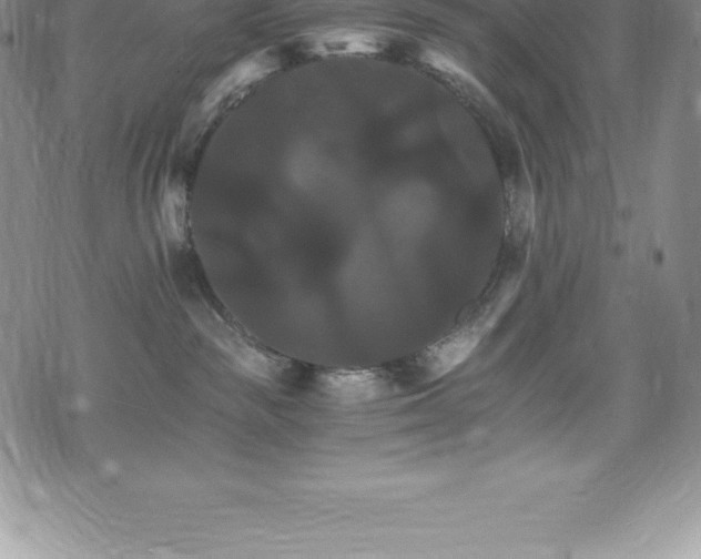 X0000075860189200609151235