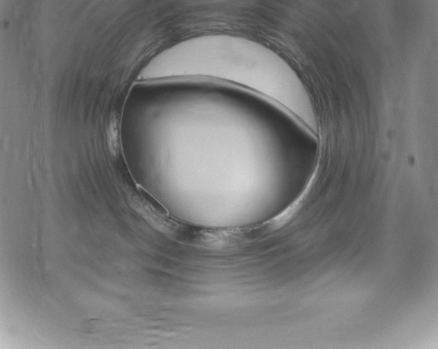 X0000075860190200609151235