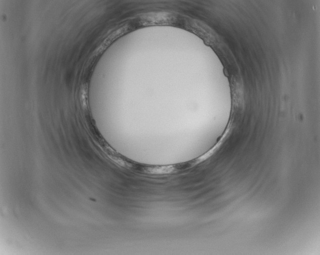 X0000075860191200609151235