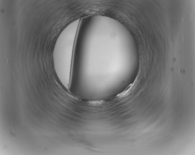 X0000075860192200609151235