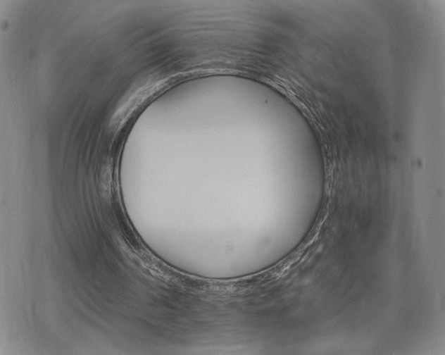 X0000075860194200609151234