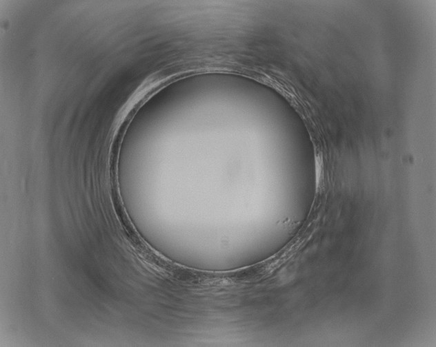 X0000075860195200609151234