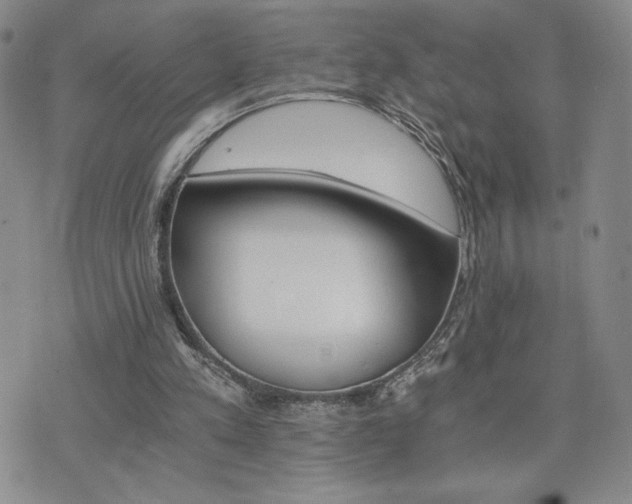 X0000075860197200609151234