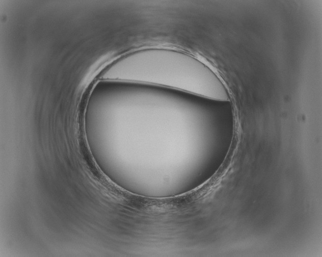 X0000075860199200609151234