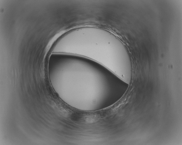 X0000075860200200609151234