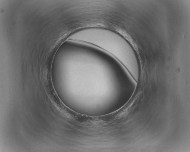 X0000075860201200609151234