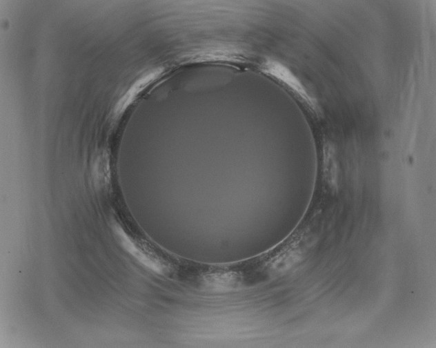 X0000075860202200609151234