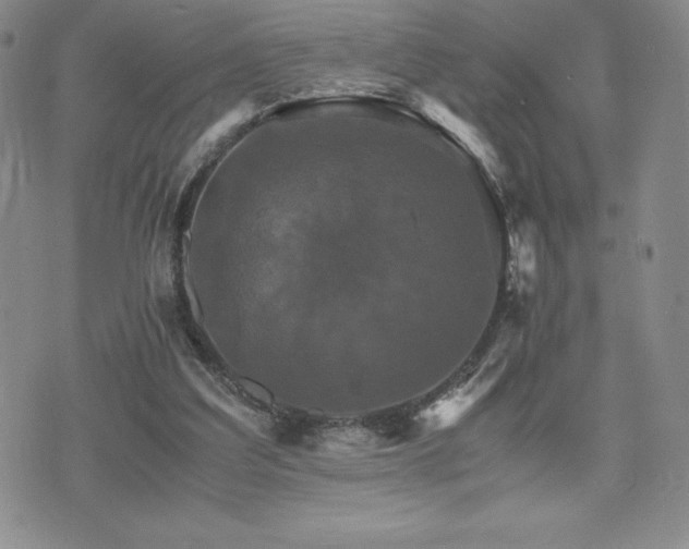 X0000075860203200609151234