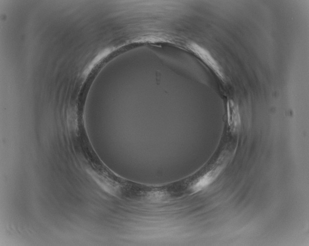 X0000075860204200609151234