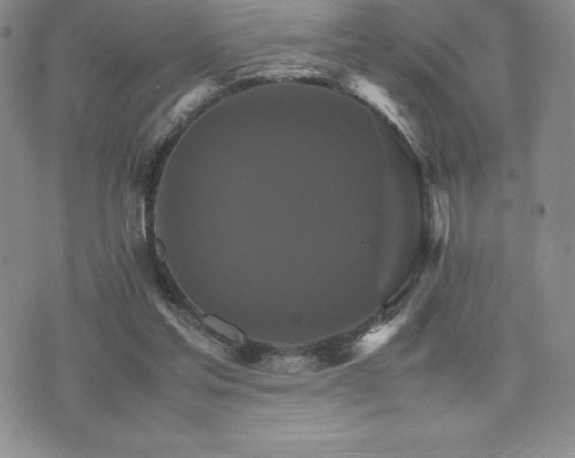 X0000075860205200609151234