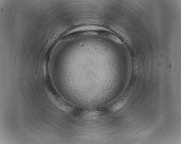 X0000075860206200609151234