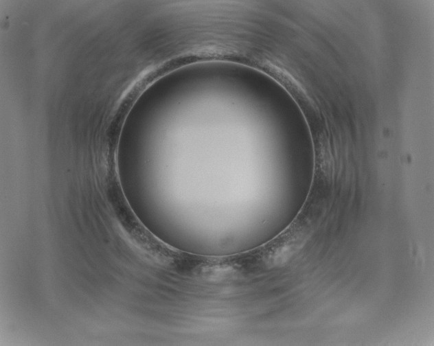 X0000075860208200609151234