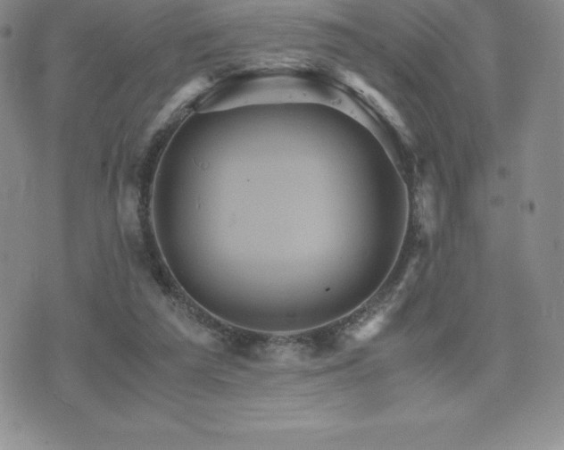 X0000075860209200609151234