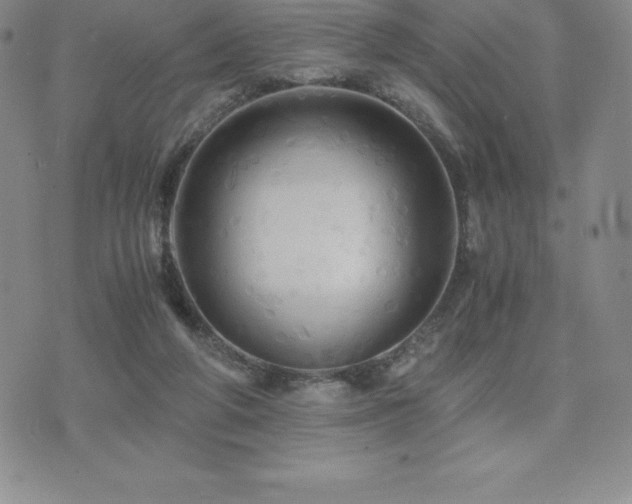 X0000075860210200609151234