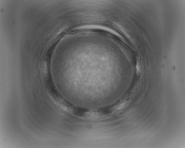 X0000075860211200609151234