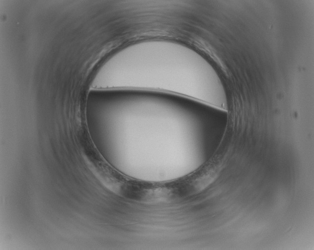 X0000075860212200609151234