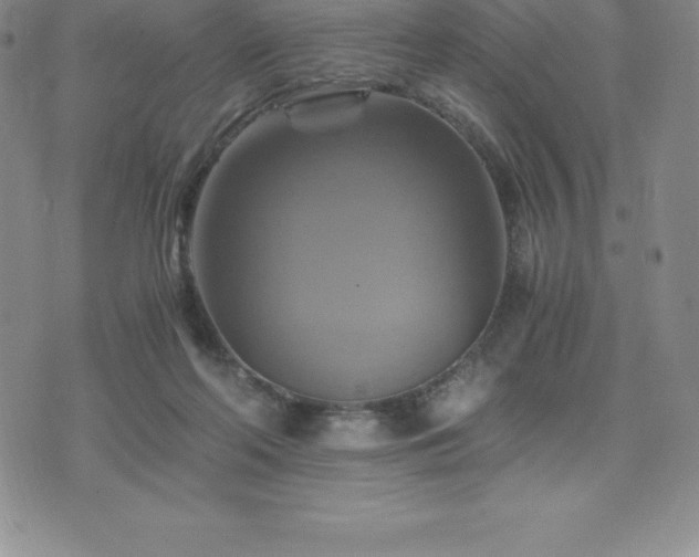 X0000075860214200609151234