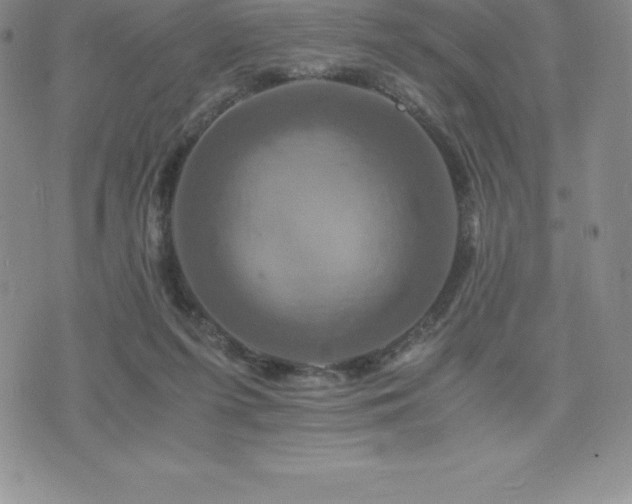 X0000075860215200609151234