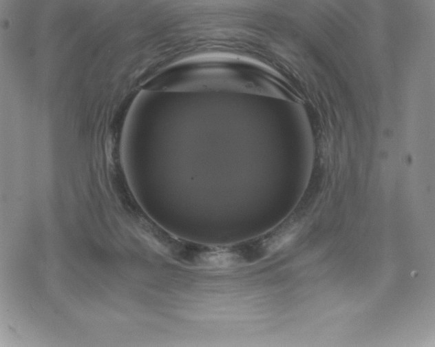 X0000075860219200609151234