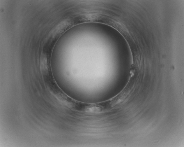 X0000075860220200609151234