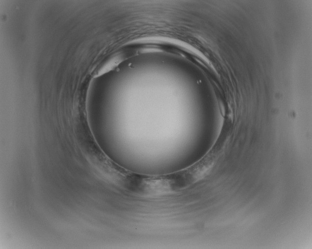 X0000075860221200609151234