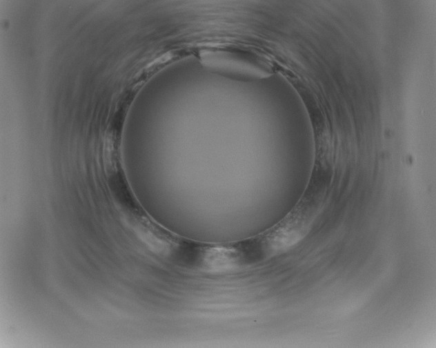 X0000075860222200609151234