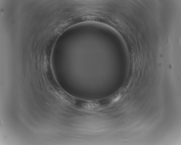 X0000075860223200609151234