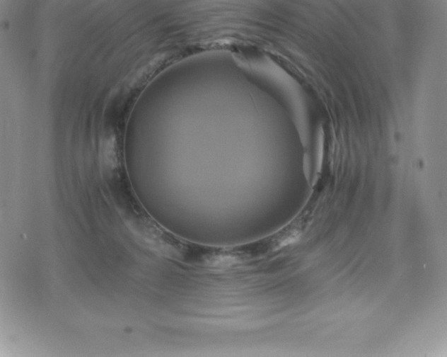 X0000075860224200609151234