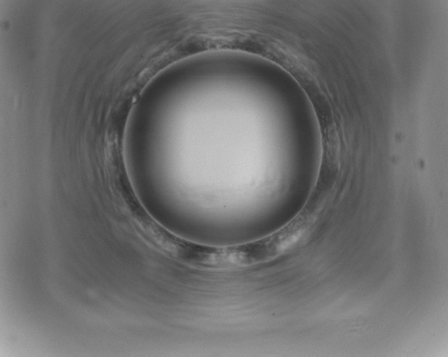 X0000075860225200609151234