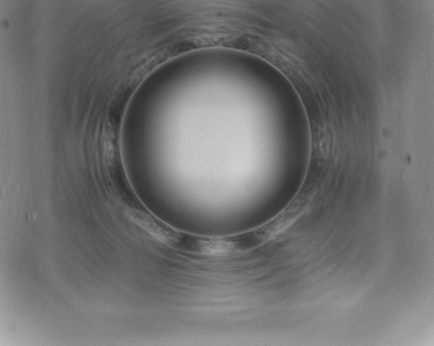 X0000075860226200609151234