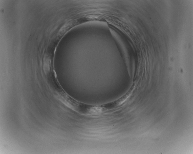 X0000075860227200609151234