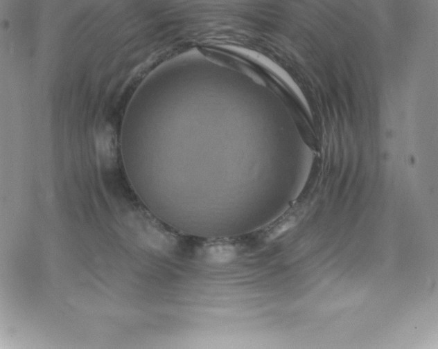 X0000075860228200609151234