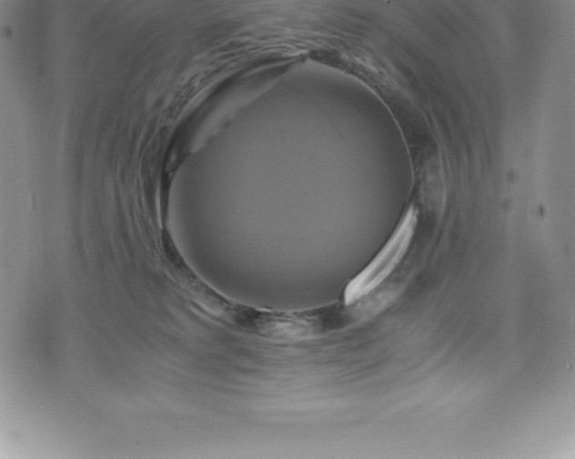 X0000075860229200609151234