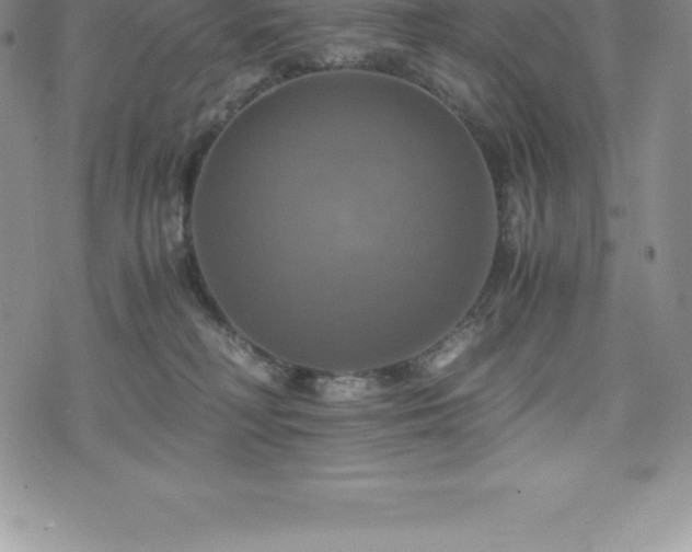 X0000075860230200609151234