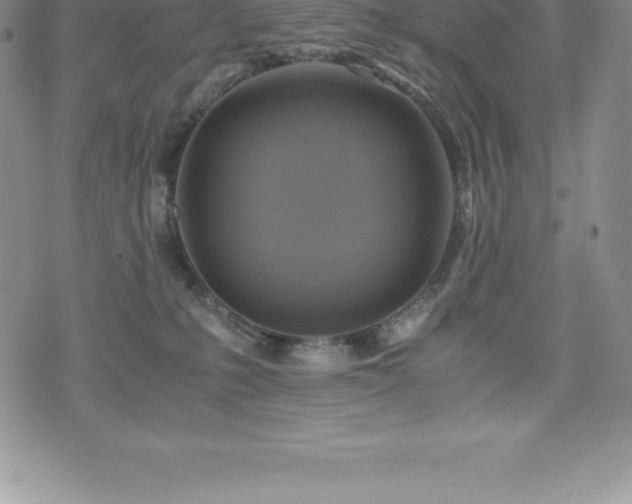 X0000075860231200609151234