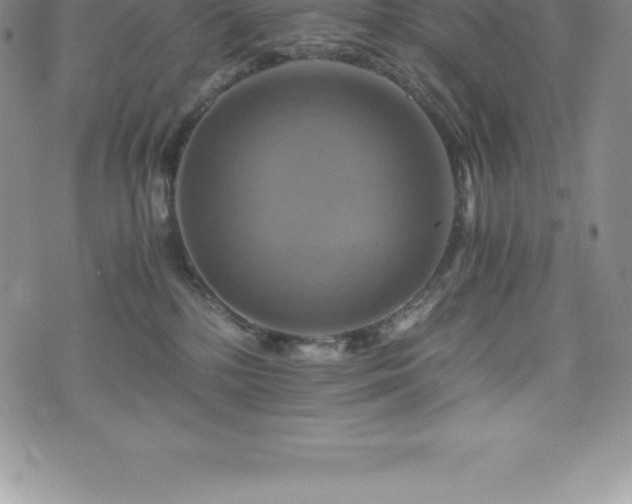 X0000075860232200609151234